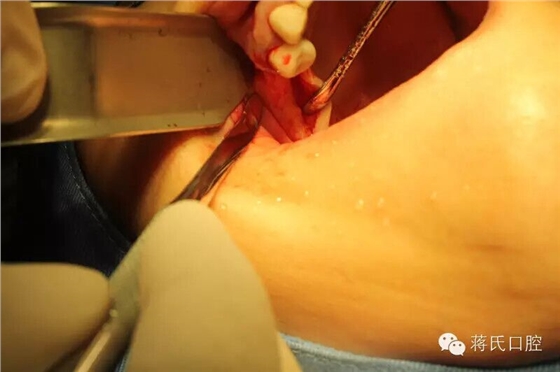 QQ圖片20150711174042.jpg QQ圖片20150711174042.jpg