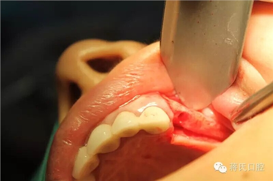 QQ圖片20150711174505.jpg QQ圖片20150711174505.jpg