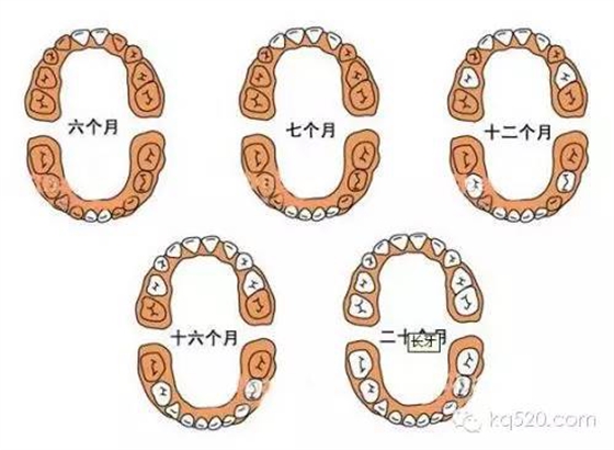 QQ圖片20150712101109.png QQ圖片20150712101109.png