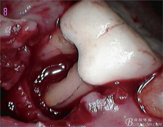 QQ圖片20150712103615.jpg QQ圖片20150712103615.jpg