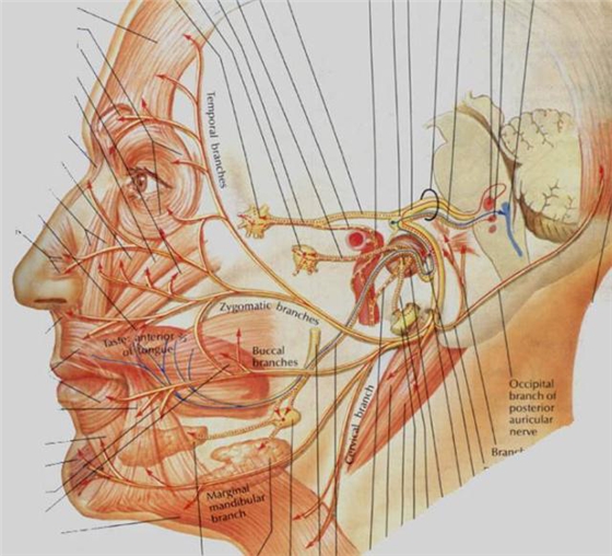 QQ圖片20150712112529.png QQ圖片20150712112529.png