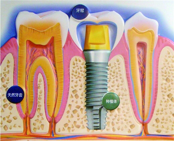 QQ圖片20150712114513.jpg QQ圖片20150712114513.jpg