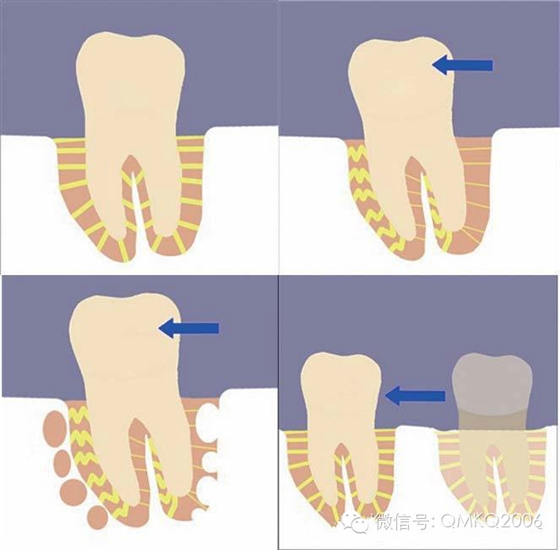 QQ圖片20150712115257.png QQ圖片20150712115257.png