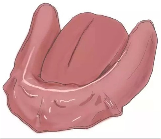 種植【最全的種植牙介紹】 種植【最全的種植牙介紹】