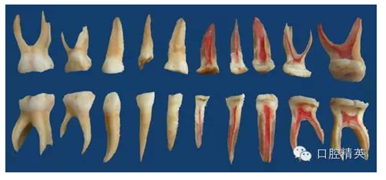 QQ圖片20150716170016.png QQ圖片20150716170016.png