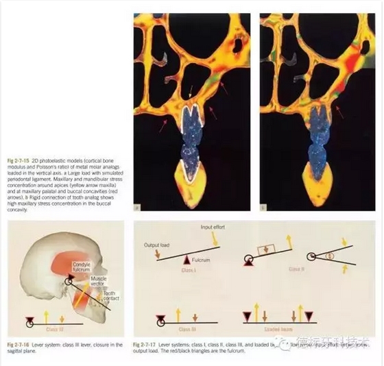 QQ圖片20150718104826.png QQ圖片20150718104826.png