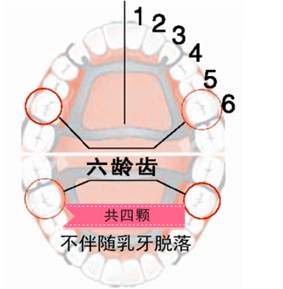 QQ圖片20150718175102.png QQ圖片20150718175102.png