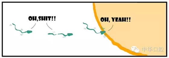 QQ圖片20150720090328.png QQ圖片20150720090328.png