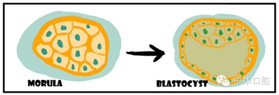 QQ圖片20150720090411.png QQ圖片20150720090411.png