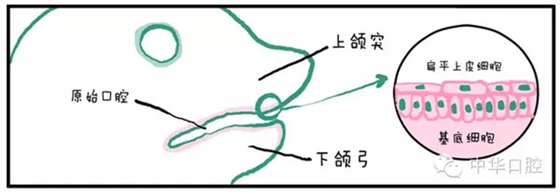 QQ圖片20150720090455.png QQ圖片20150720090455.png