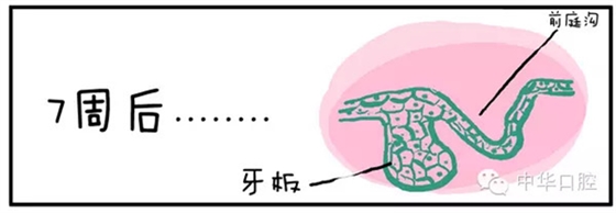 QQ圖片20150720090513.png QQ圖片20150720090513.png