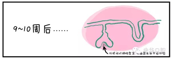 QQ圖片20150720090558.png QQ圖片20150720090558.png