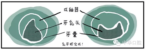 QQ圖片20150720090634.png QQ圖片20150720090634.png