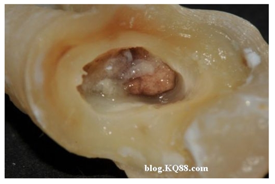 QQ圖片20150720133215.png QQ圖片20150720133215.png