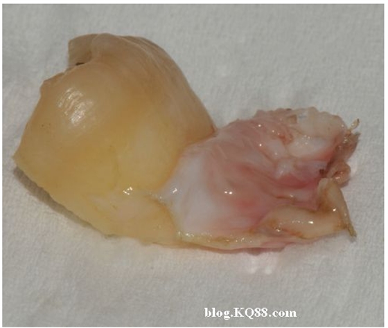 QQ圖片20150720134100.png QQ圖片20150720134100.png