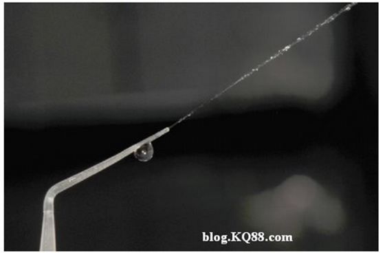 QQ圖片20150720135423.png QQ圖片20150720135423.png