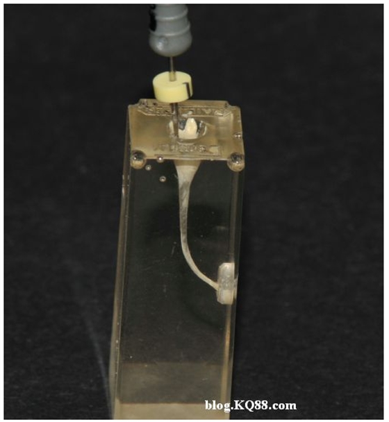 QQ圖片20150720135701.png QQ圖片20150720135701.png