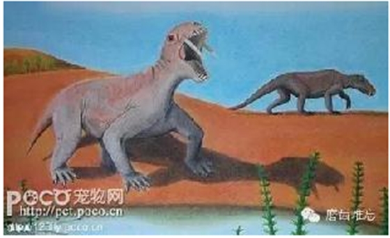 走進(jìn)牙齒的故事，訴說千年的演變