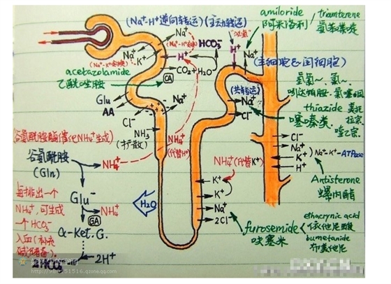 版權(quán)歸原作者