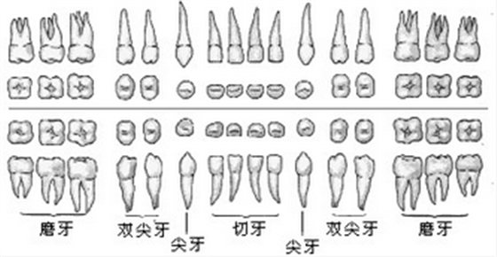 QQ圖片20150721134332.png QQ圖片20150721134332.png