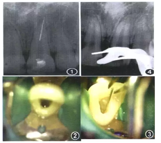 QQ圖片20150722104717.png QQ圖片20150722104717.png