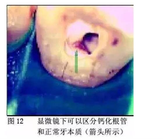 QQ圖片20150722104651.png QQ圖片20150722104651.png