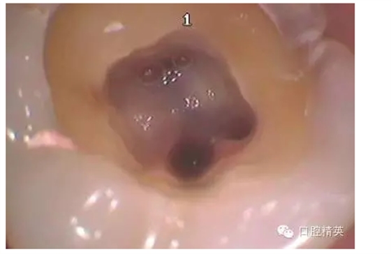 QQ圖片20150727085441.png QQ圖片20150727085441.png