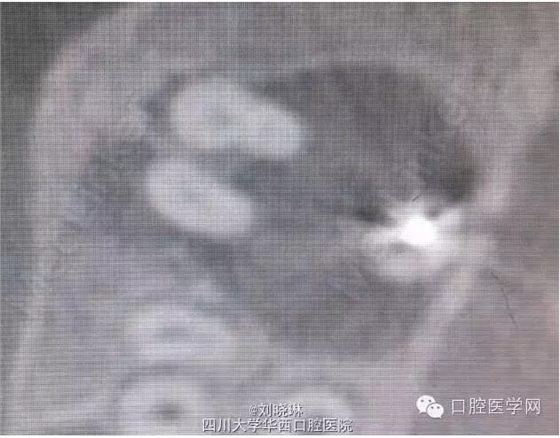 QQ圖片20150728144938.png QQ圖片20150728144938.png