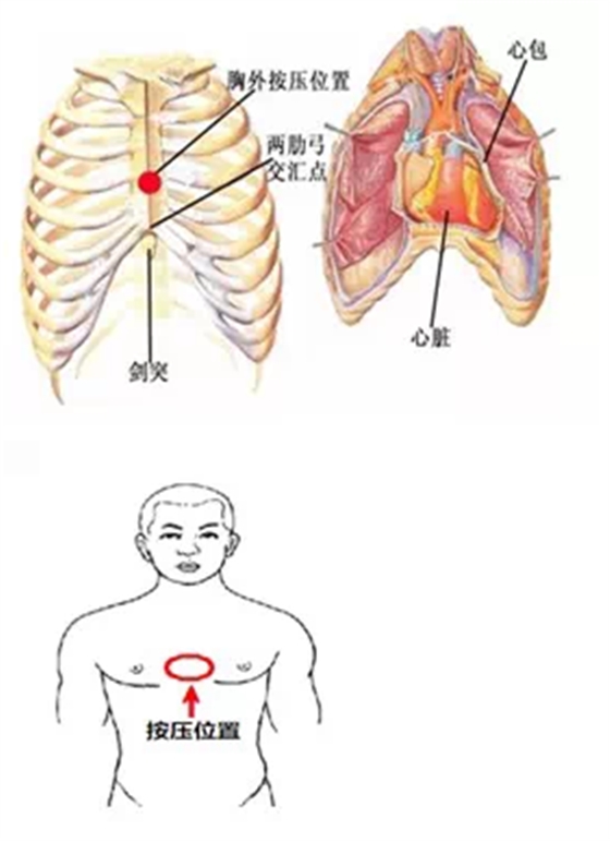 QQ圖片20150731095354.png QQ圖片20150731095354.png