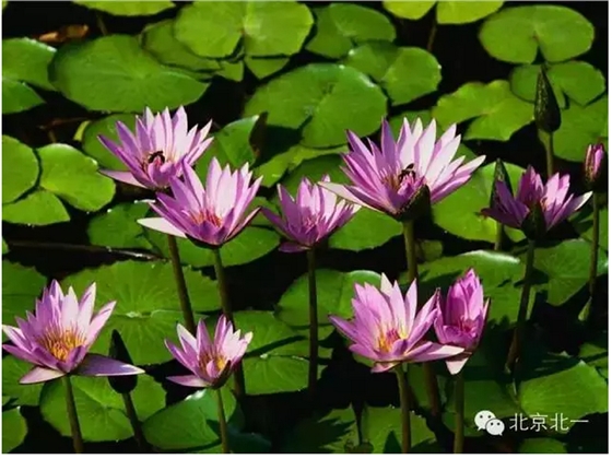 QQ圖片20150802161425.png QQ圖片20150802161425.png