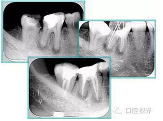 QQ圖片20150803102741.png QQ圖片20150803102741.png