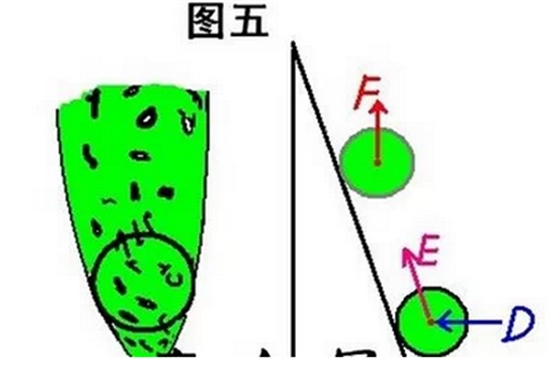 QQ圖片20150803174010.png QQ圖片20150803174010.png