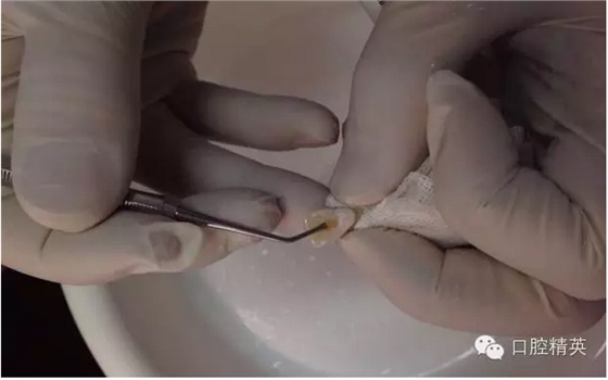 QQ圖片20150804110546.png QQ圖片20150804110546.png