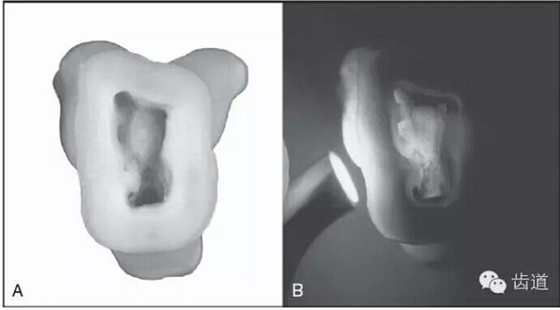 QQ圖片20150804152913.jpg QQ圖片20150804152913.jpg