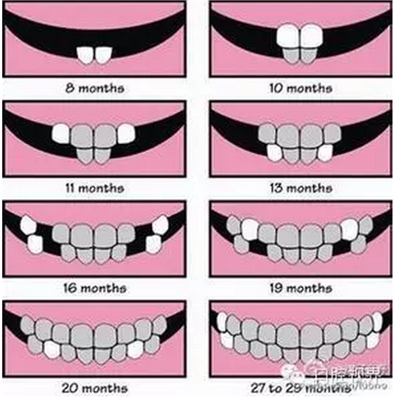 QQ圖片20150808110407.png QQ圖片20150808110407.png