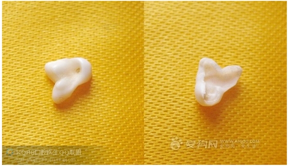 QQ圖片20150808110540.png QQ圖片20150808110540.png