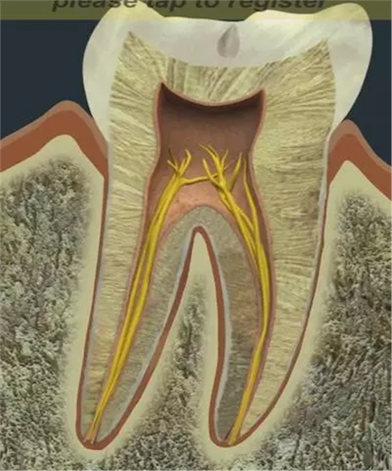 QQ圖片20150812094651.png QQ圖片20150812094651.png