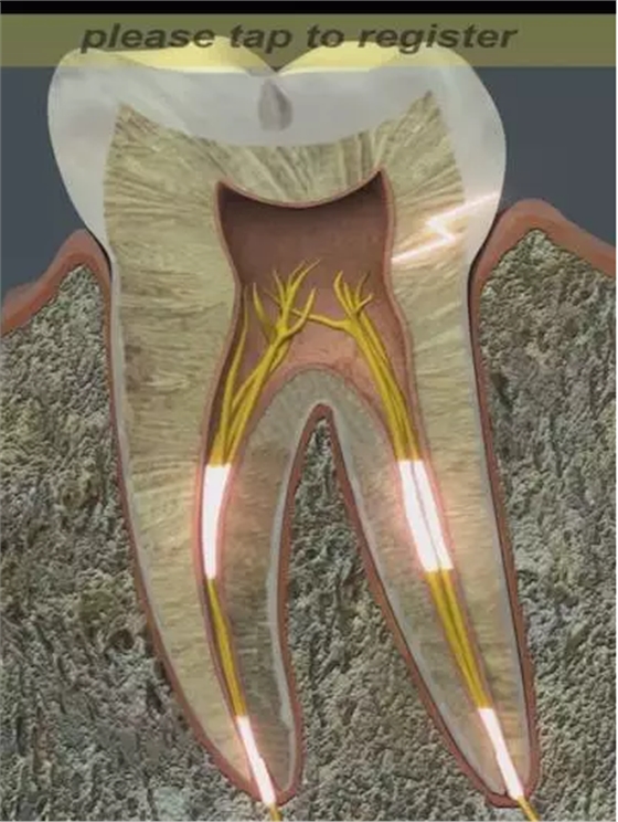 QQ圖片20150812094717.png QQ圖片20150812094717.png