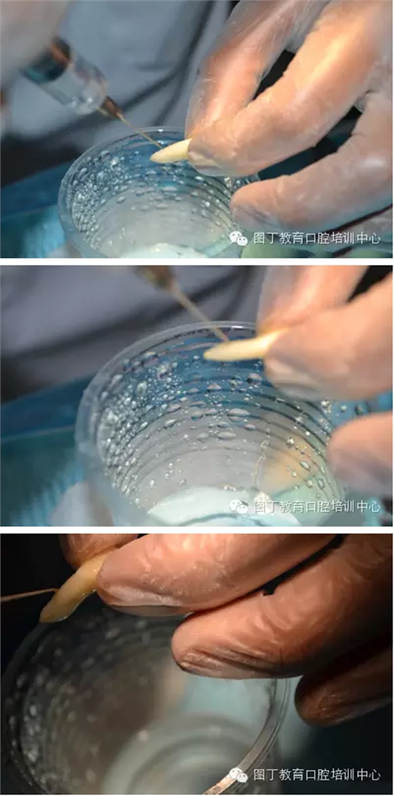 QQ圖片20150813150410.png QQ圖片20150813150410.png