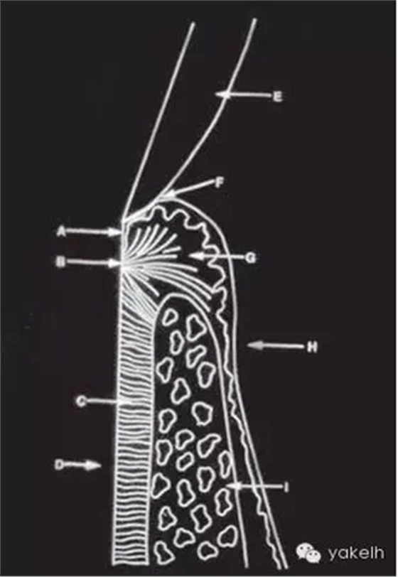 QQ圖片20150820100919.png QQ圖片20150820100919.png
