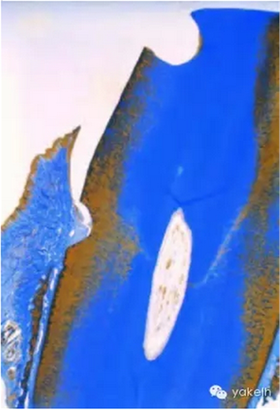 QQ圖片20150820101003.png QQ圖片20150820101003.png