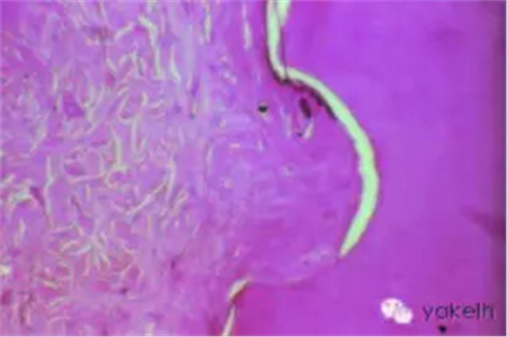 QQ圖片20150820101015.png QQ圖片20150820101015.png