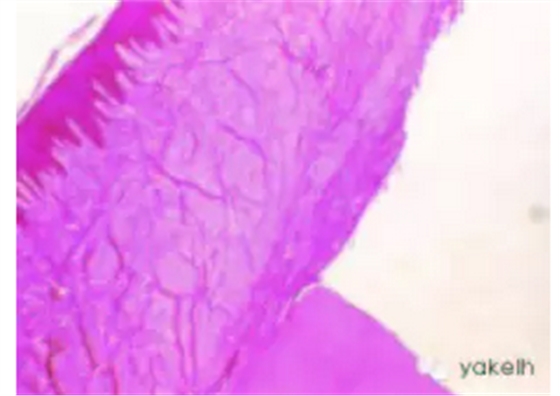 QQ圖片20150820101042.png QQ圖片20150820101042.png