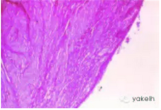 QQ圖片20150820101055.png QQ圖片20150820101055.png