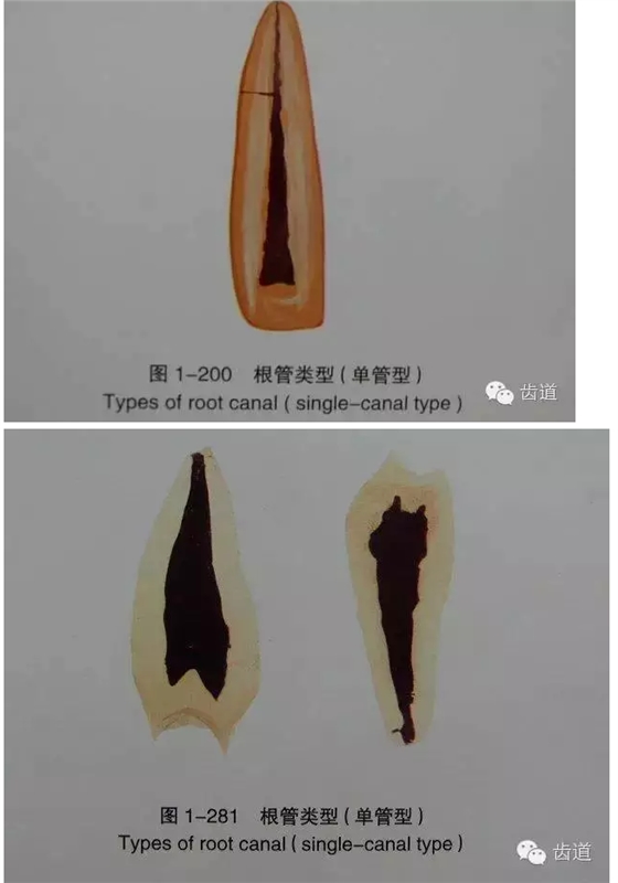 QQ圖片20150820144525.png QQ圖片20150820144525.png