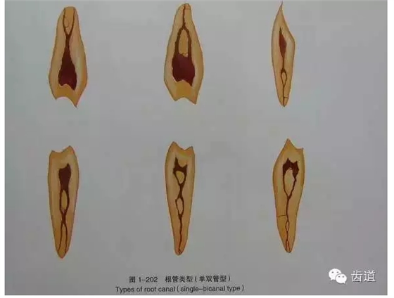 QQ圖片20150820144609.png QQ圖片20150820144609.png