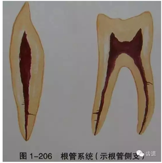 QQ圖片20150820144632.png QQ圖片20150820144632.png