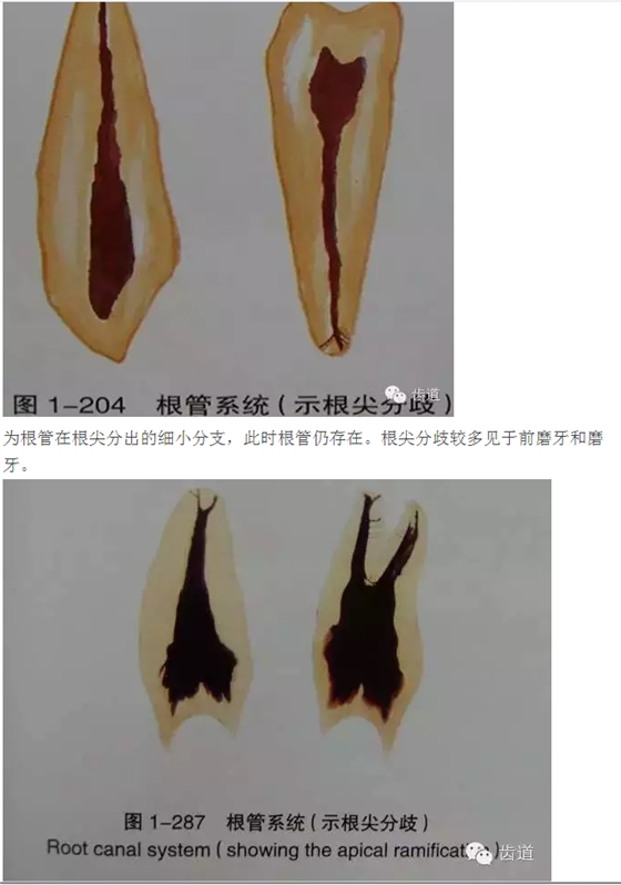 QQ圖片20150820144650.png QQ圖片20150820144650.png