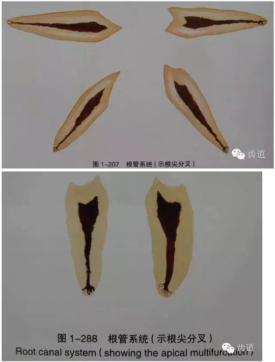 QQ圖片20150820144704.png QQ圖片20150820144704.png