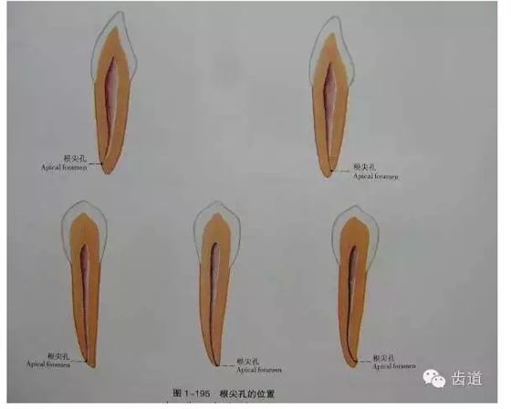 QQ圖片20150820144844.png QQ圖片20150820144844.png